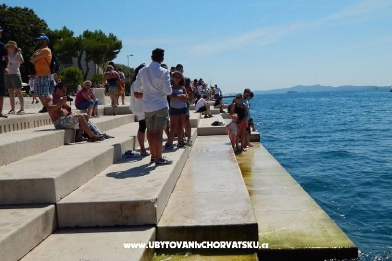 Kata Nin – foto 15