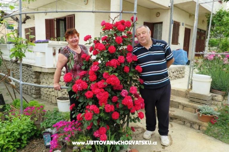 Dom wakacyjny Marija – foto 18