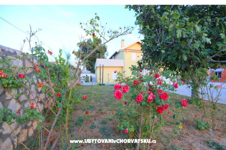 Apartament Novak Rudic – foto 2