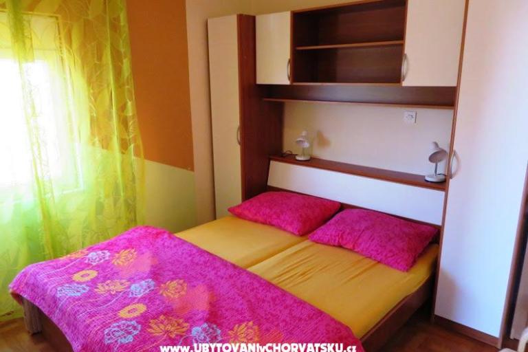 Ruža – foto 4