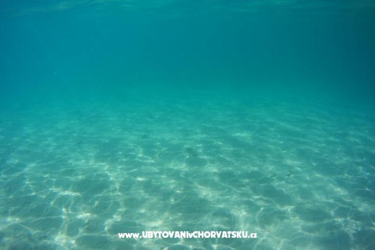 Apartamenty Vučur  – foto 17