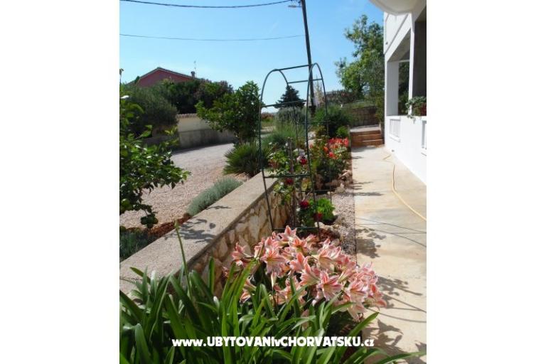 Apartamenty Dabo – foto 11
