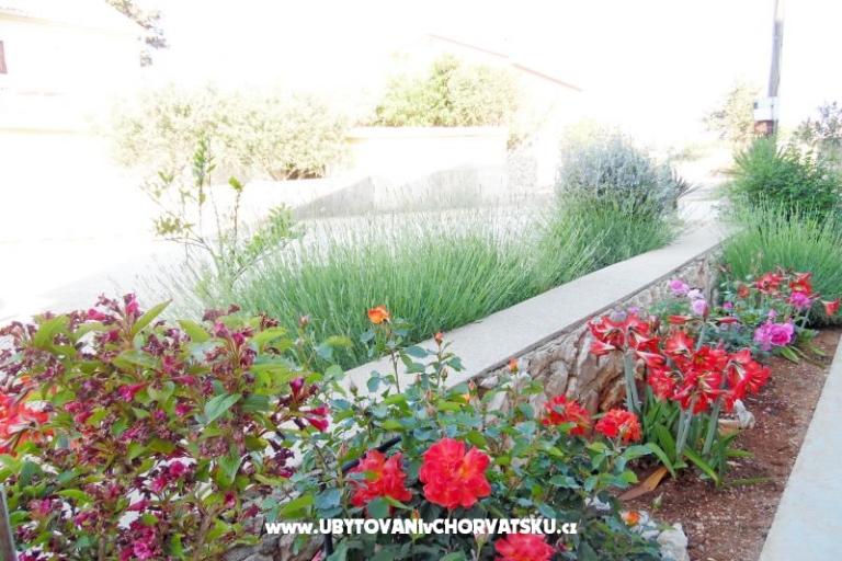 Apartamenty Dabo – foto 17