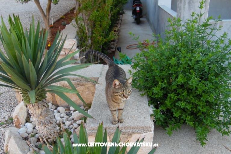 Apartamenty Dabo – foto 19