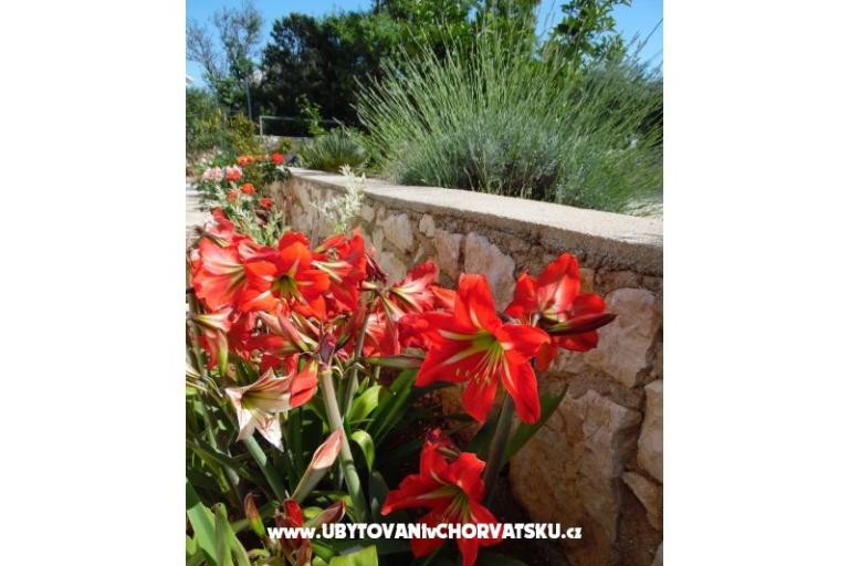 Apartamenty Dabo – foto 5