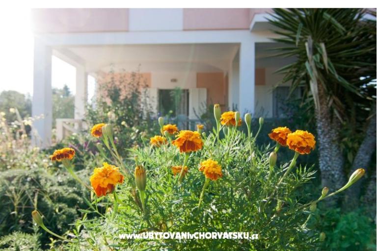 Apartamenty Danijela – foto 17