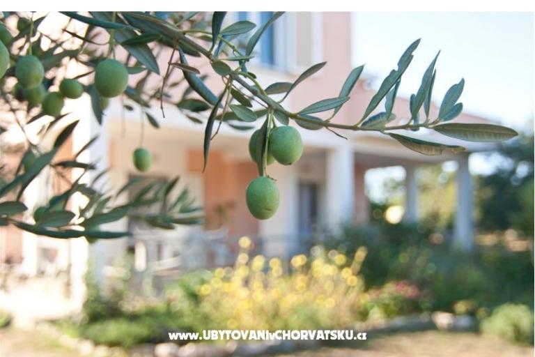 Apartamenty Danijela – foto 7