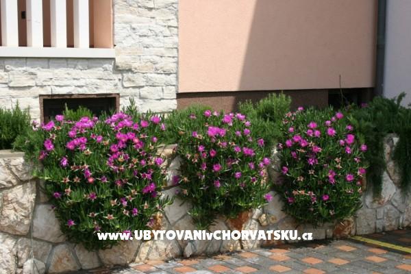 Apartamenty Grga – foto 5