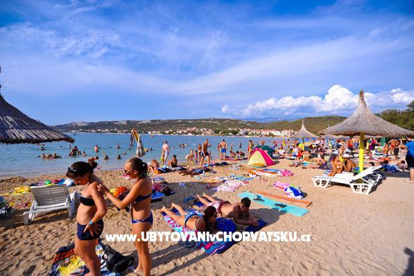 Apartamenty Milka  - island Pag – foto 3