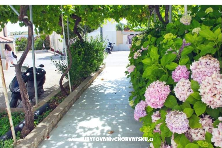 Apartamenty Kaštel – foto 16