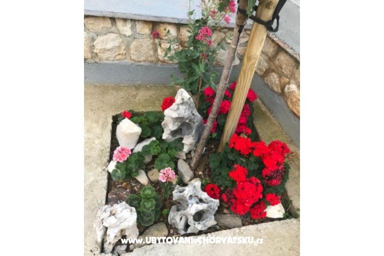 Apartamenty Katarina – foto 18