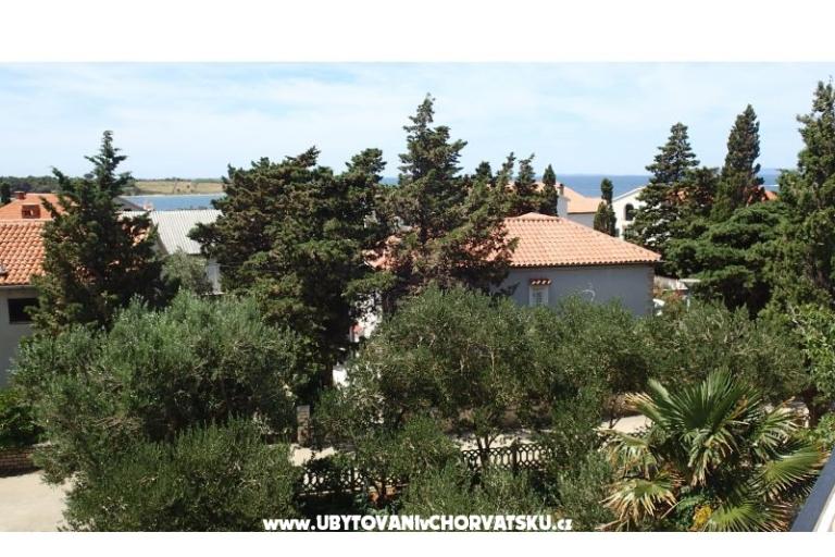 Apartamenty Tatjana Borović – foto 14