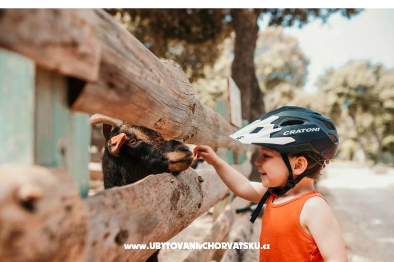 Mobile Home Luna - Kemp Straško – foto 10