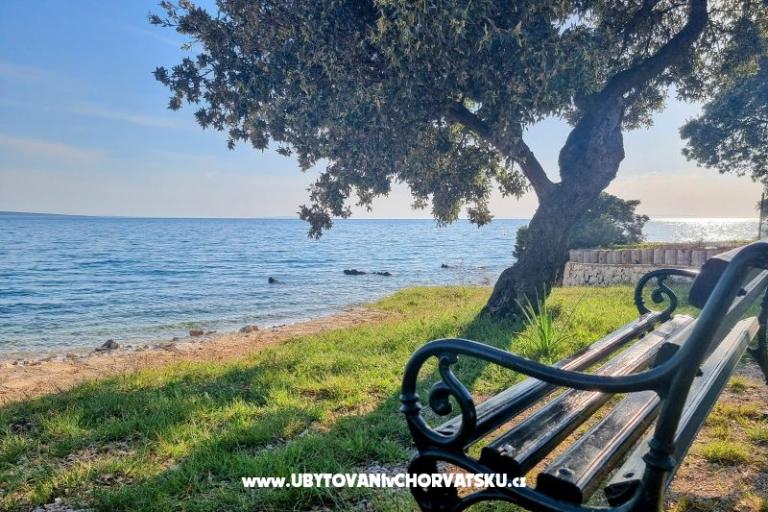 Dom Sookie – foto 34