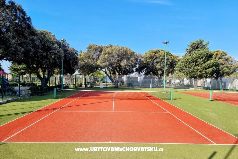 Dom Sookie – foto 38