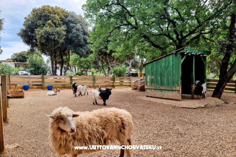 Dom Sookie – foto 41