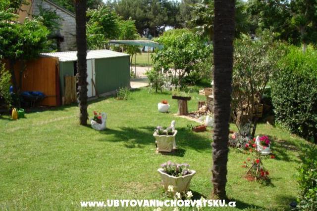 Apartament Živka – foto 5