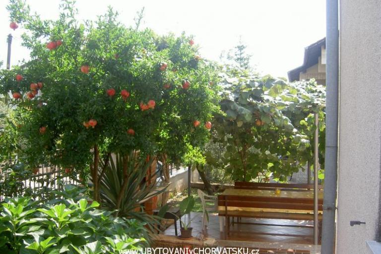 Apartamenty Vošten – foto 5