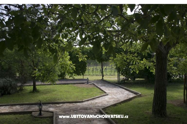 Sanja Apartamenty Novigrad – foto 7