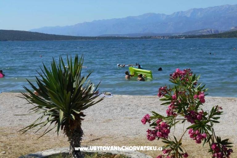 Apartament Dedi – foto 9