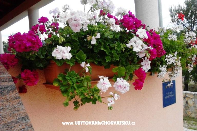 Apartament Jasna – foto 14