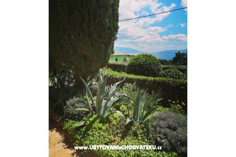Apartamenty BUTKOVIĆ DUBRAVKA – foto 10