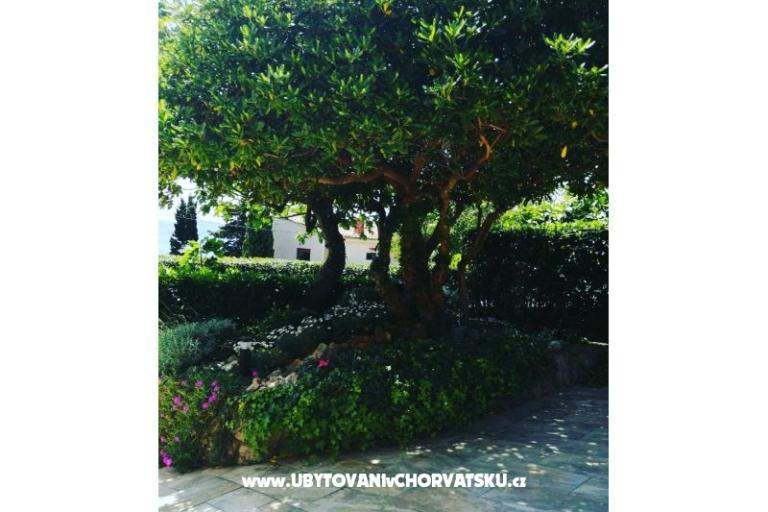 Apartamenty BUTKOVIĆ DUBRAVKA – foto 13