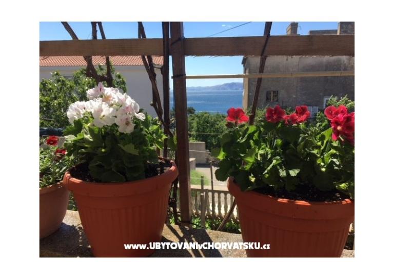 Apartamenty Marijana – foto 17