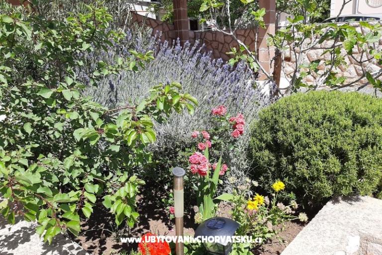 Apartamenty Pavelić – foto 6