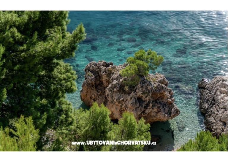 Villa Jana – foto 18