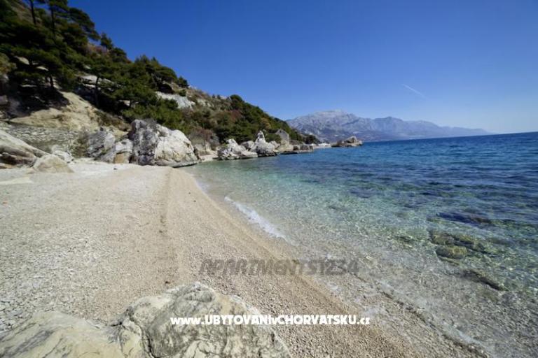 Apartamenty 1234 – foto 10