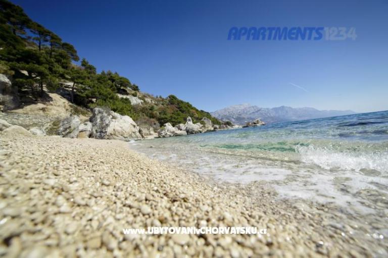 Apartamenty 1234 – foto 11