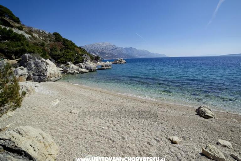 Apartamenty 1234 – foto 8