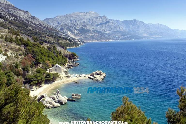 Apartamenty 1234 – foto 9