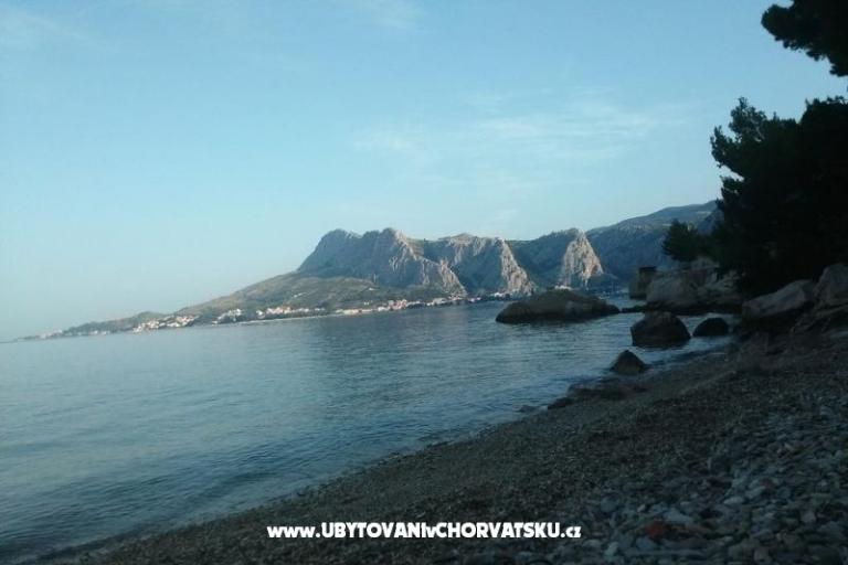 Apartament 1 – foto 5