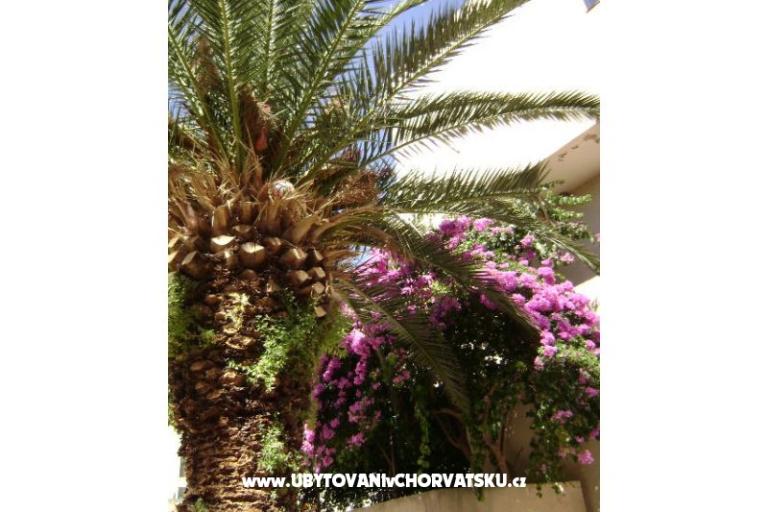 Apartament Mia – foto 11