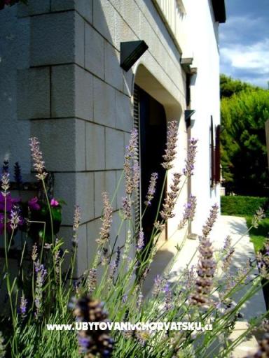 Apartament Mimice – foto 2