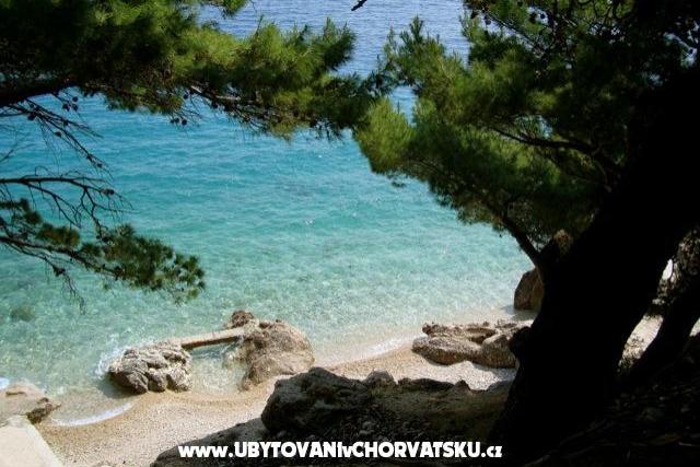 Apartament Mimice – foto 7