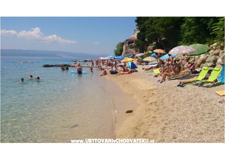 Dom wakacyjny na plaży - Robinson – foto 6
