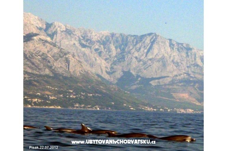 Apartamenty  MARICA – foto 17