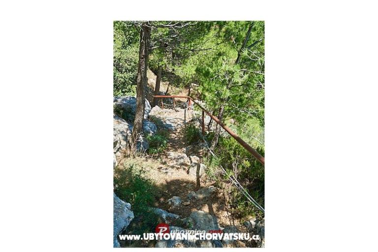 Apartamenty AGAVA – foto 23