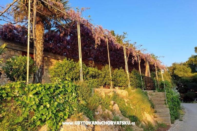 Apartamenty AGAVA – foto 24