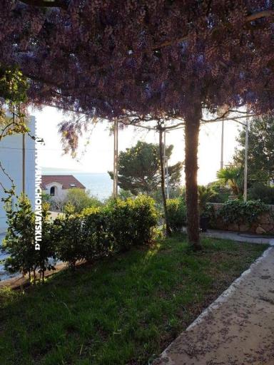 Apartamenty AGAVA – foto 27
