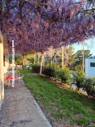 Apartamenty AGAVA – foto 28