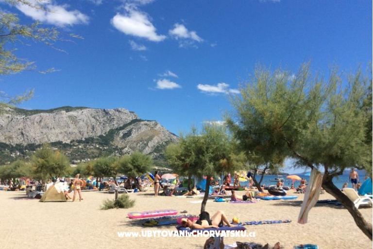 Apartamenty Banović – foto 8