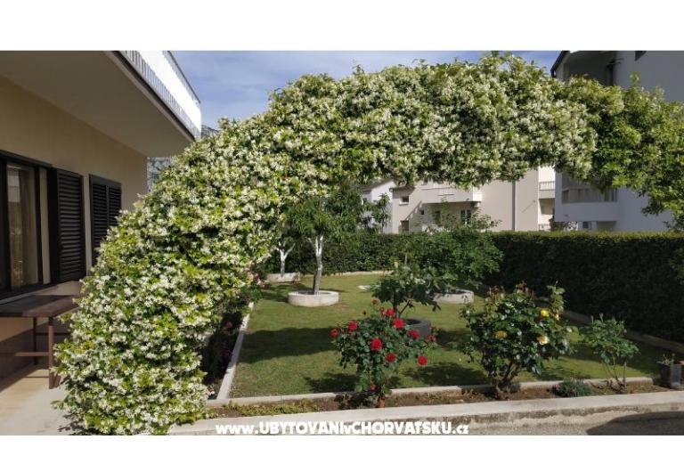 Apartamenty Danica – foto 5