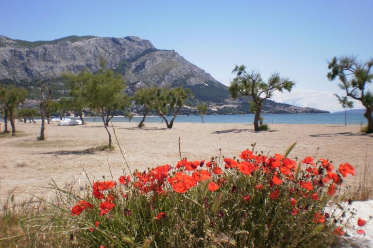 Apartamenty Danka Čudić – foto 3