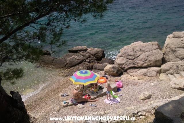 Apartamenty Delfin Stanići – foto 6