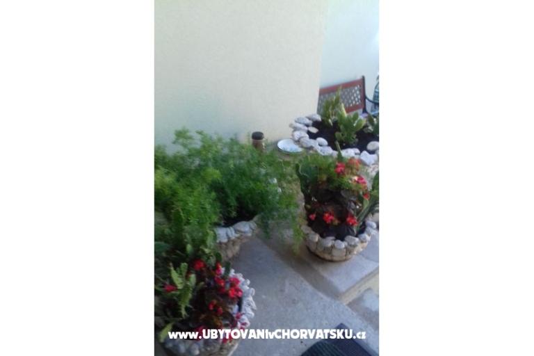 Apartamenty Draga – foto 10