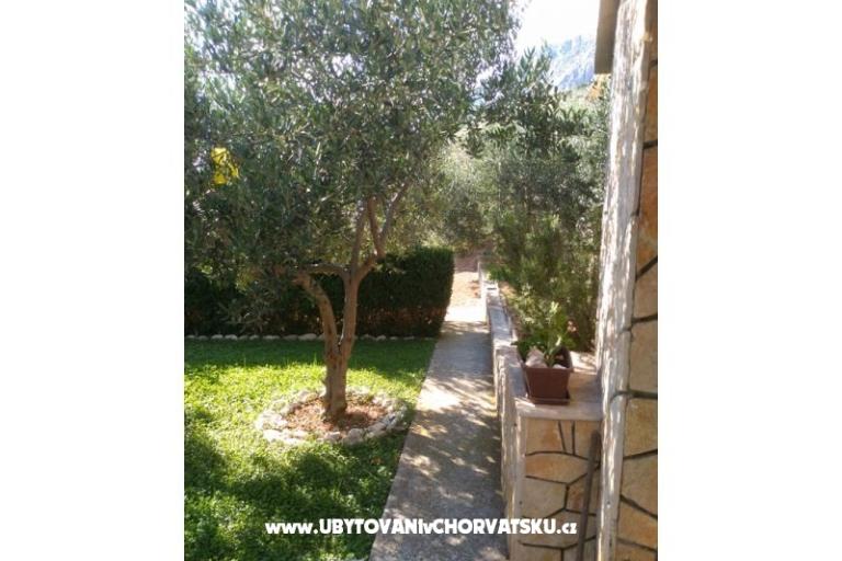 Apartamenty Draga – foto 7